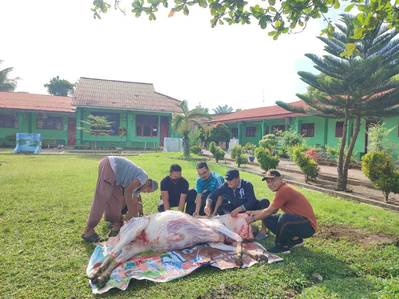 Idul Adha 1446 H, MAN Batubara Adakan Penyembelihan Hewan Kurban