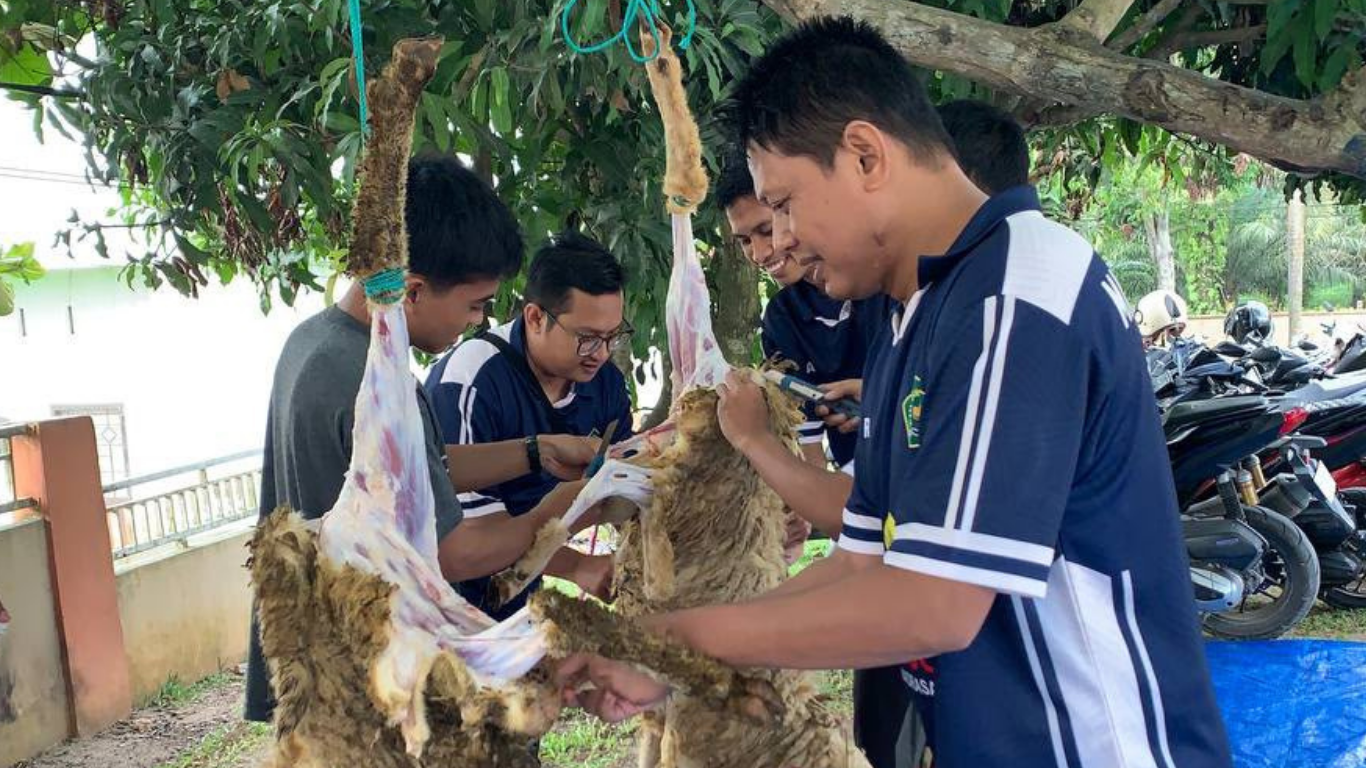 Semangat Idul Adha di Tengah Keterbatasan, MAN Batubara Sembelih 3 Sapi dan 2 Kambing